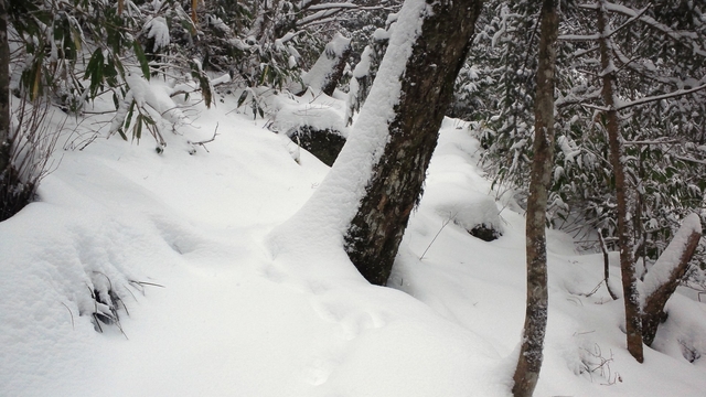 DSC_0291.JPG DSC_0291.JPG